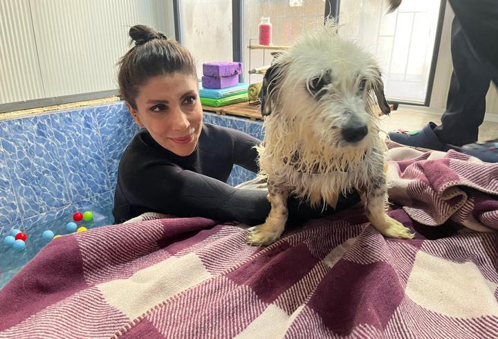 Felçli Köpek 'Kırpık'a Yeni Bir Yuva Aranıyor