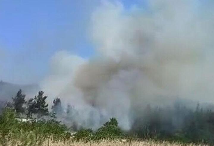 Son Dakika Haberi: Çanakkale'de orman yangını