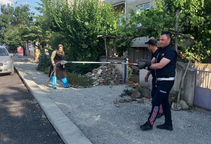Bahçeye giren yılan yakalanarak doğaya bırakıldı