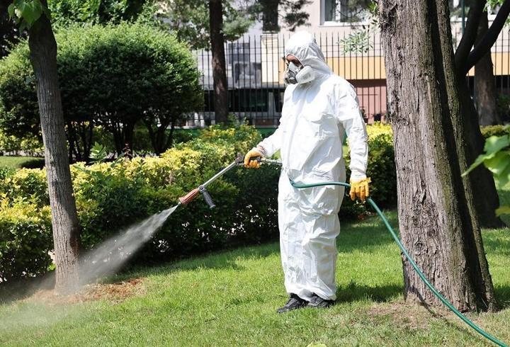 Bağcılar’da parklar ve yeşil alanlar ilaçlanıyor