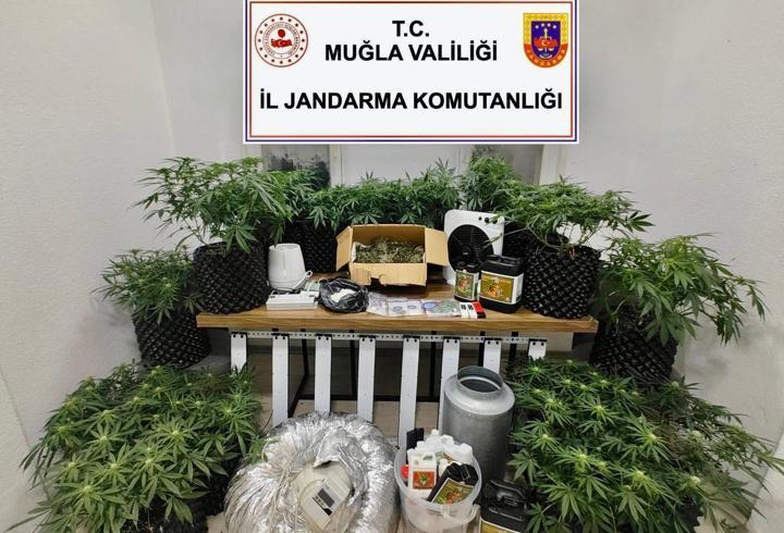 Bodrum'da uyuşturucuya 1 tutuklama