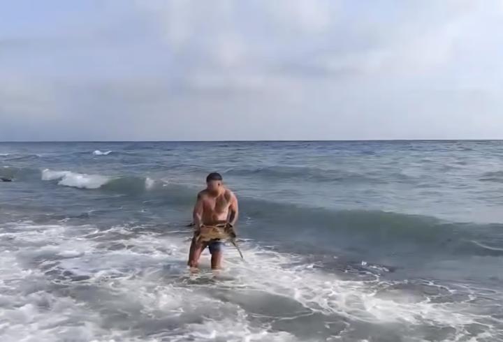 Doğa koruma ekipleri yaralı kaplumbağa için harekete geçti
