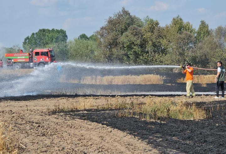 Edirne'de 10 dönüm buğday, yangında zarar gördü