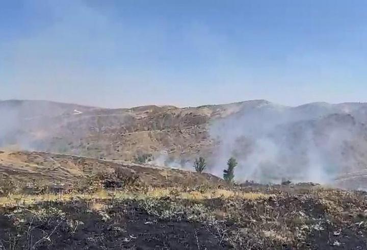 Bingöl’de çıkan örtü yangını 2 saatte söndürüldü