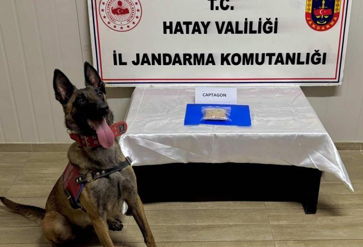 Hatay'da Uyuşturucu Operasyonları: 23 Şüpheli Yakalandı