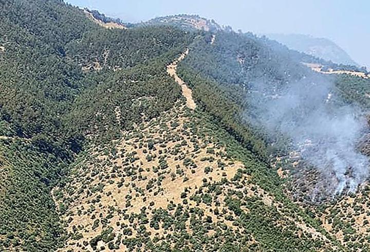 Manisa'da orman yangını: Havadan ve karadan müdahale ediliyor