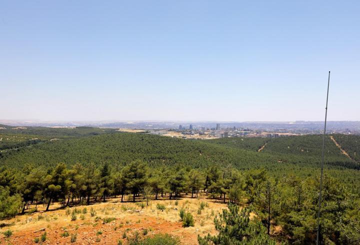 Gaziantep'te Ormanlar Termal Dronla Korunuyor