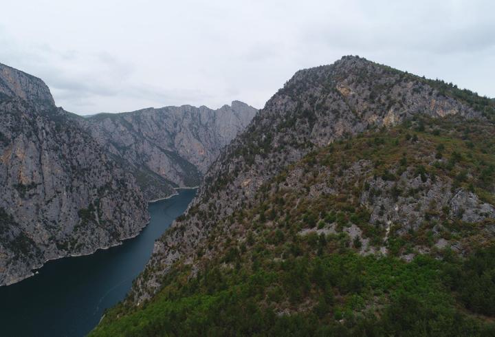 Samsun’da ormana girişler yasaklandı