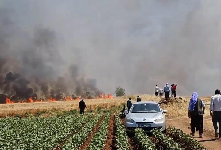 Şanlıurfa'da tarla yangını: 1'i ağır 5 yaralı