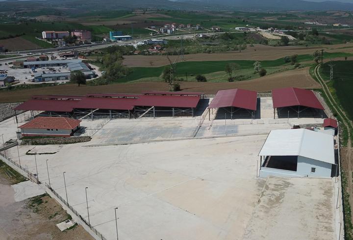 Havza'da canlı hayvan pazarı kapatıldı