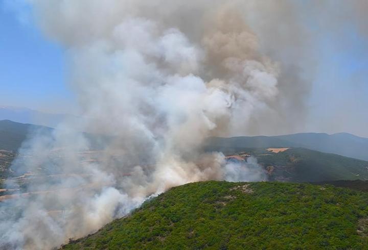 Bursa'da orman yangını: Ekipler bölgede