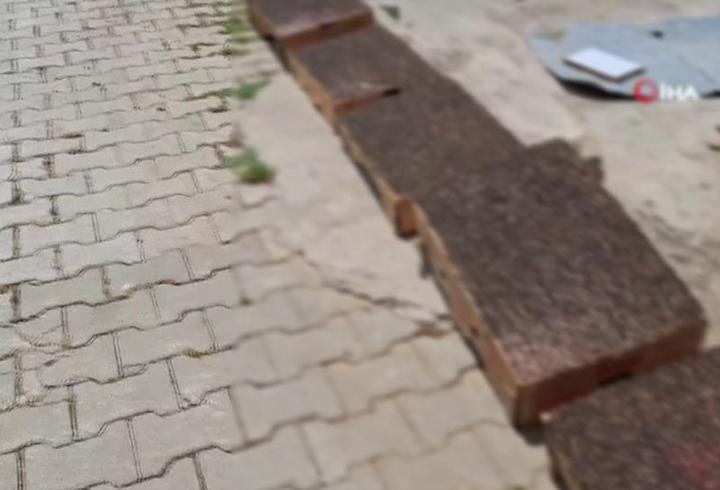 Adana usulü sinek avlama merkezi