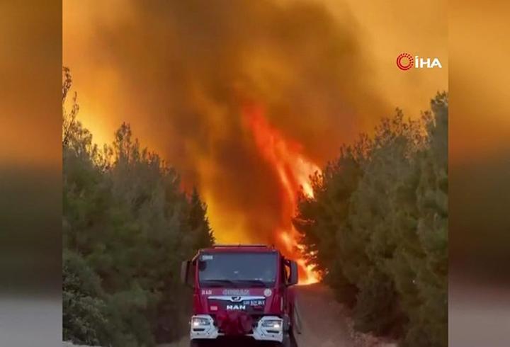 Son dakika: İzmir'de orman yangını evlere yaklaştı