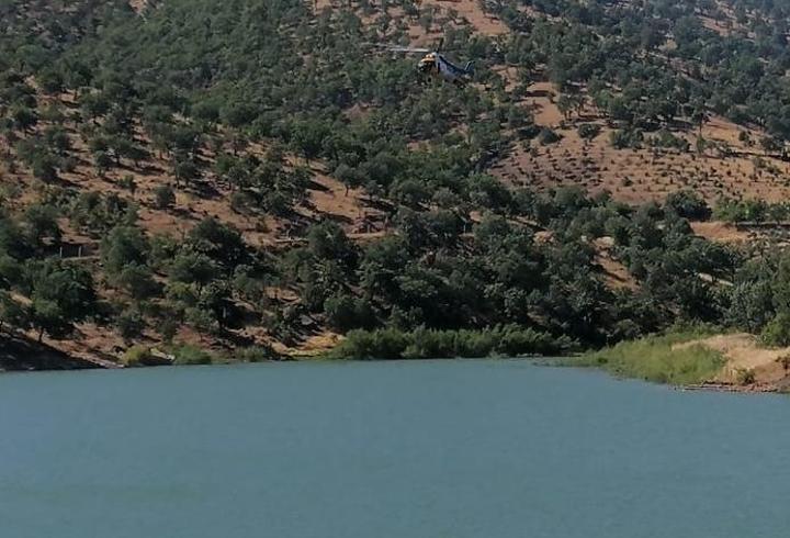 Kahramanmaraş'ta orman yangını: Müdahale sürüyor