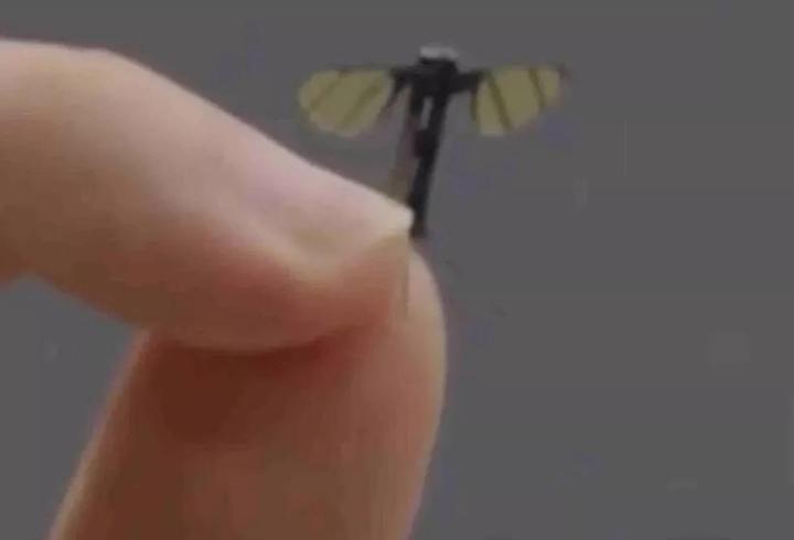 Sivrisinek değil, casus dron!