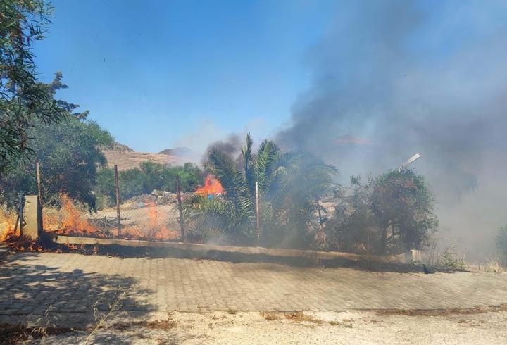 Bodrum'da ot yangınında alevler ağaçlara sıçradı