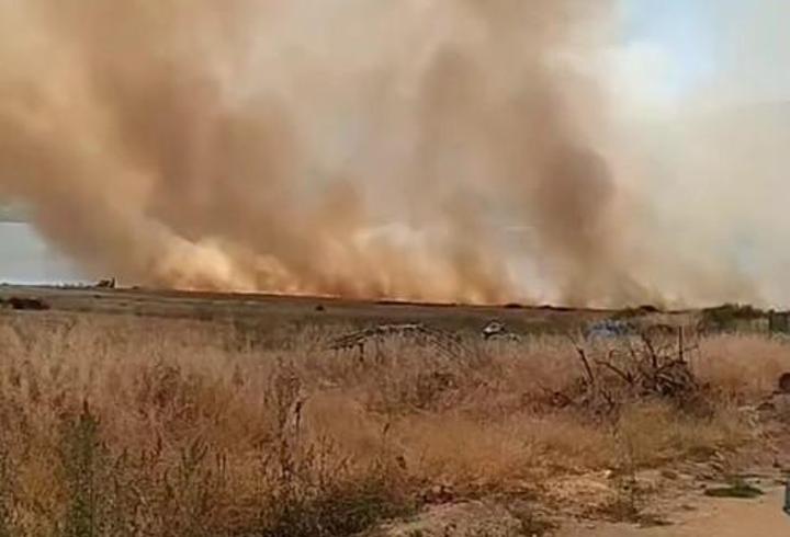 Elazığ’da otluk yangını, söndürüldü