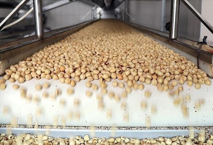 Fındık ihracatı 10 ayda 2,3 milyar dolara yaklaştı