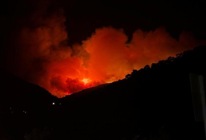 İzmir Ödemiş'te orman yangını