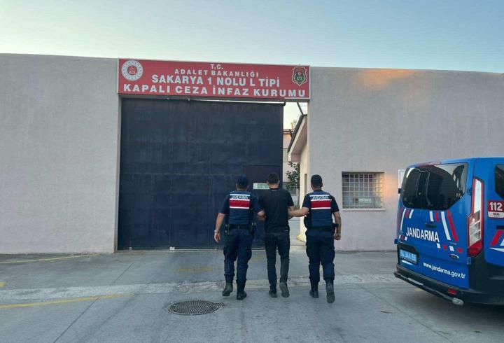 Jandarmadan kenevir operasyonu; 1 tutuklama