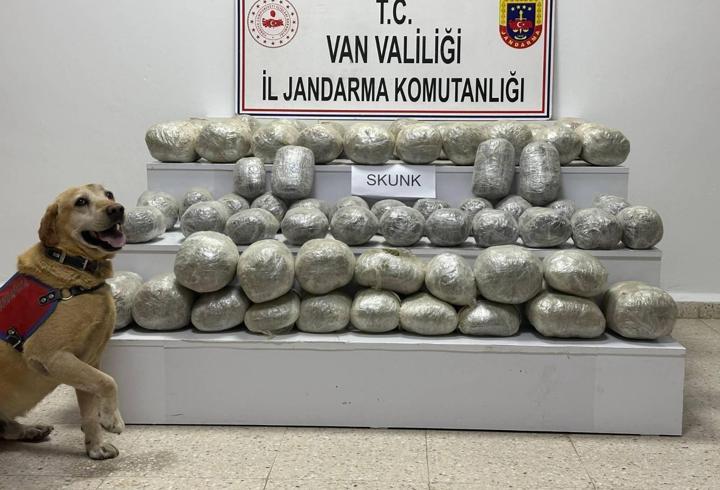 Van’da 97 kilo skunk ele geçirildi
