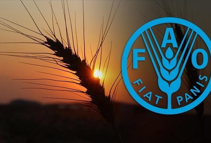 Türkiye, FAO Konsey üyeliğine seçildi