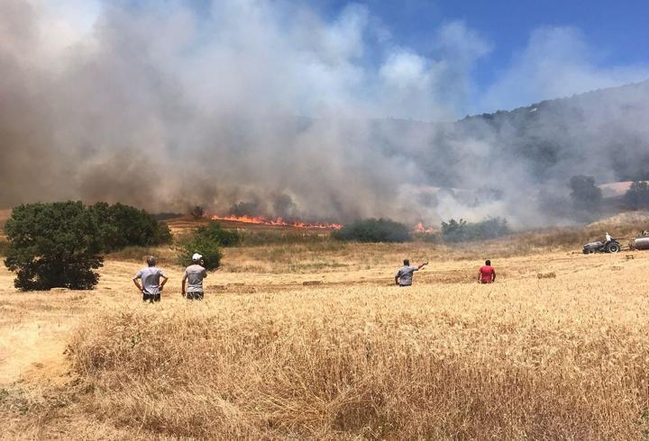 Bursa’da anız yangını ormana sıçradı