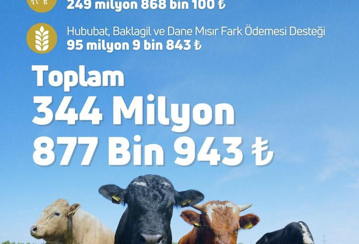 Tarımsal destek ödemeleri bugün hesaplara aktarılıyor