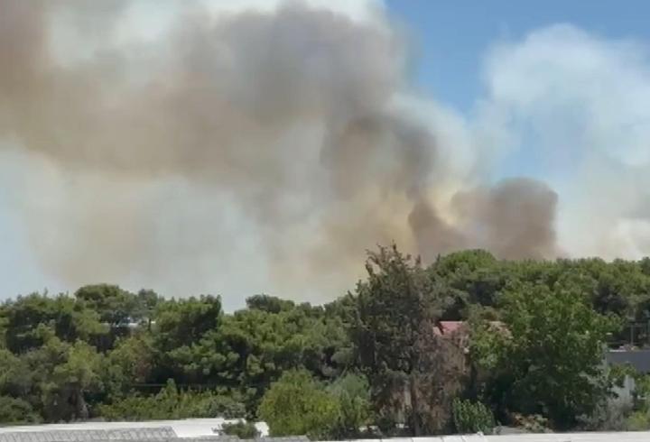 Antalya Muratpaşa’da orman yangını yeniden başladı