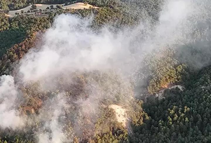 Bolu'da orman yangını: Ekipler müdahale ediyor