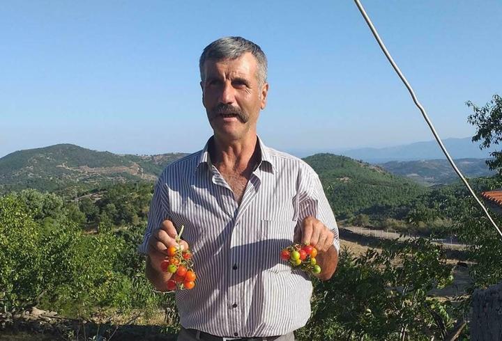 Ailesiyle gittiği piknikte kayboldu