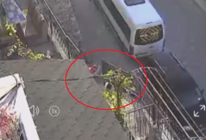 Köpeği taş ve sopayla dövdü