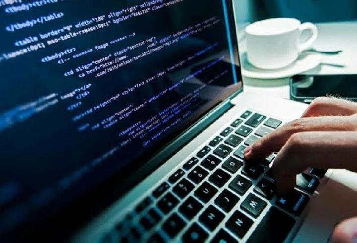 Start-up’ları dolandıran yazılımcıyı ifşa etti