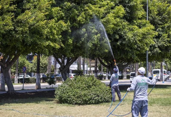 Mersin’de ilaçlama çalışmaları sürüyor 
