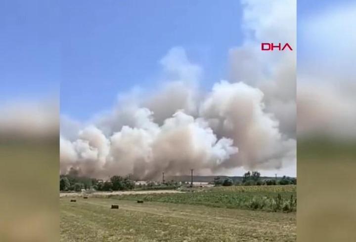 Edirne'nin Keşan ilçesinde orman yangını: Müdahale sürüyor