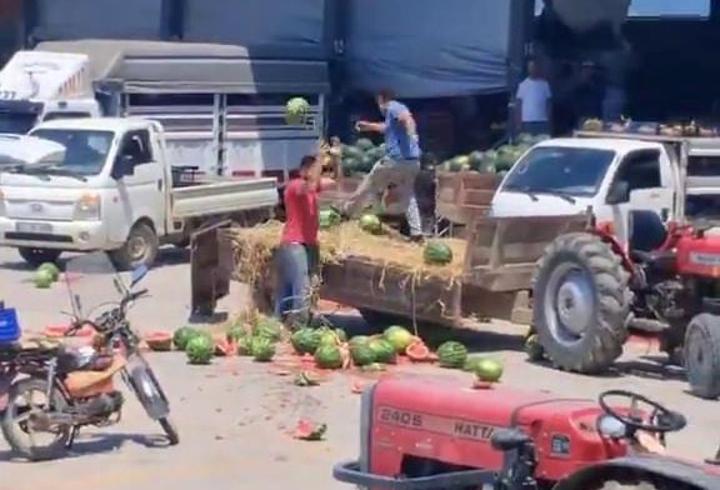 Karpuzları yere atıp, parçalayan üreticiler hakkında işlem başlatıldı