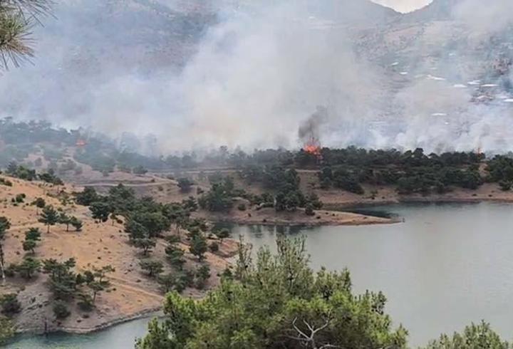 Adıyaman’da orman yangını