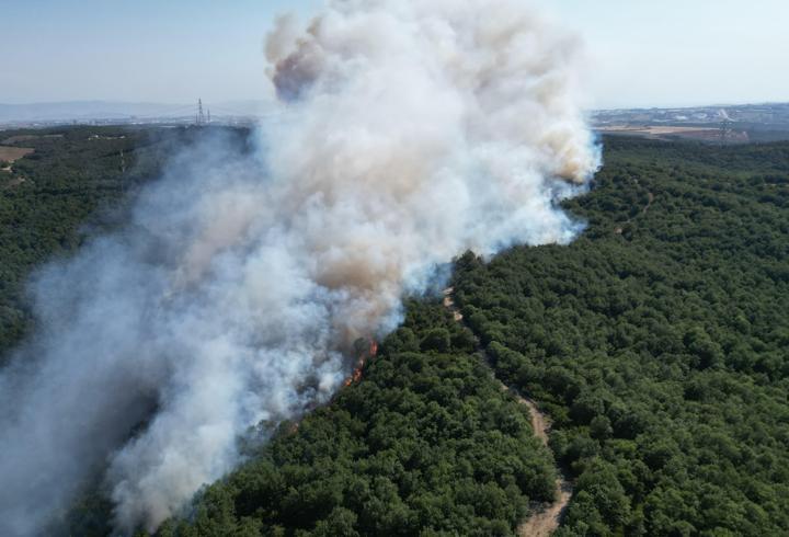 Kocaeli'de ormanlık alanda yangın