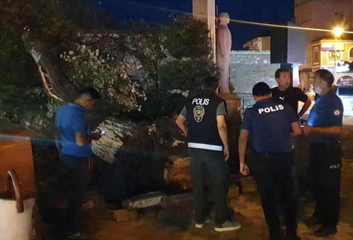Ağaç devrildi; 1 yaralı