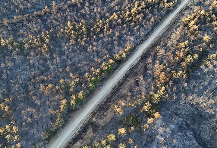 Tekirdağ'daki yangın kısmen kontrol altına alındı