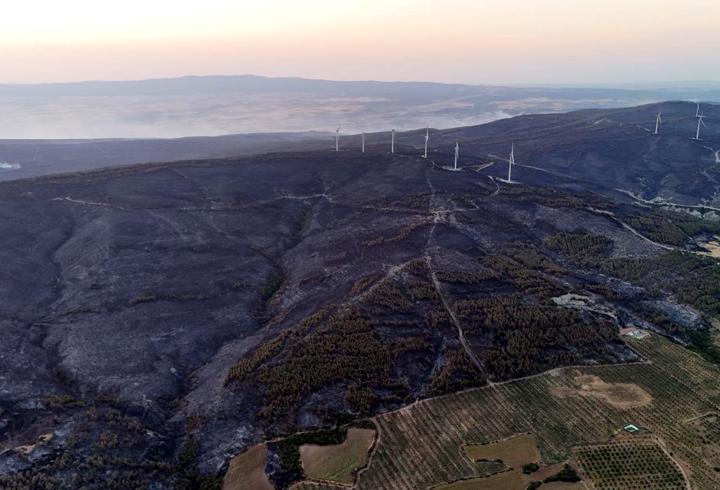 Tekirdağ'daki orman yangını kontrol altına alındı