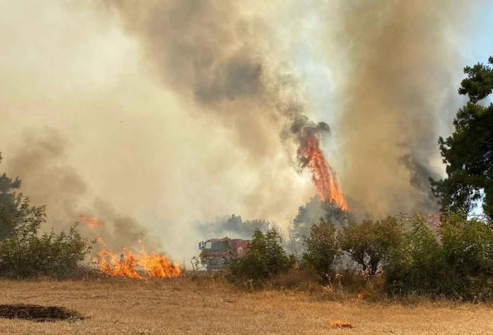 Çanakkale'nin Ezine ilçesinde orman yangını: Müdahale sürüyor