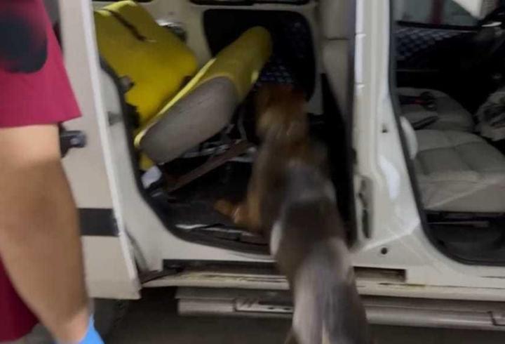 Benzin deposuna gizlenmiş 20 kilo uyuşturucuyu 'Mailo' buldu