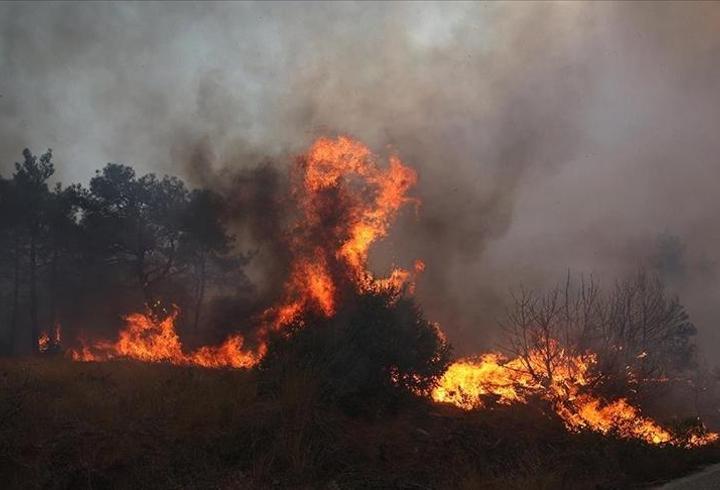 OGM'den 1 hafta için 'orman yangını riski' uyarısı