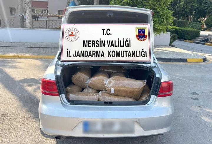 Mersin’de kaçak tütün operasyonu