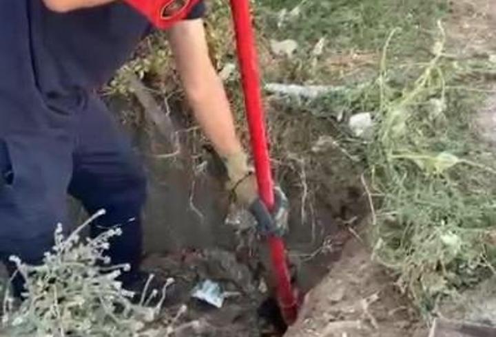 Kanalda mahsur kalan kediyi itfaiye kurtardı