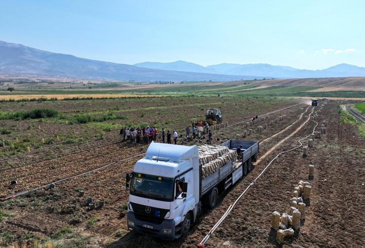 Niğde'de patates hasadı başladı 