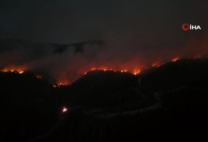 Sakarya'da orman yangını! 2 mahalle tahliye edildi