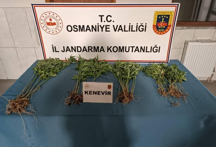 Osmaniye’de jandarma son bir haftada 115 şüpheliyi yakaladı