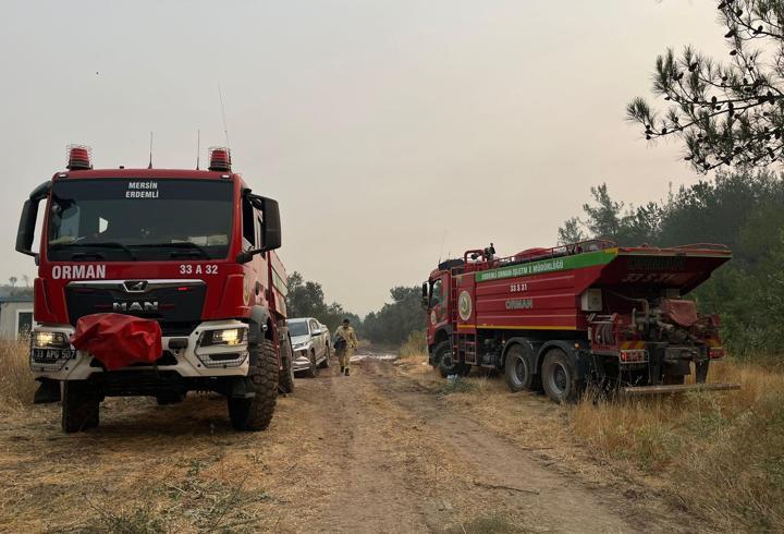 Sakarya'daki orman yangını 3'üncü gününde